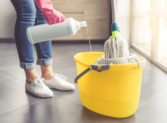How much does professional cleaning cost in Toronto?