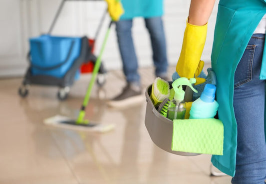 How much does professional cleaning cost in Ottawa? | Just Too Clean